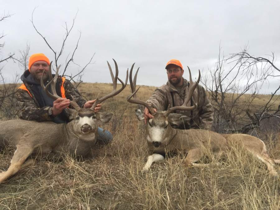 Wide-open antelope and coyote country